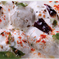 Jigna Caterers